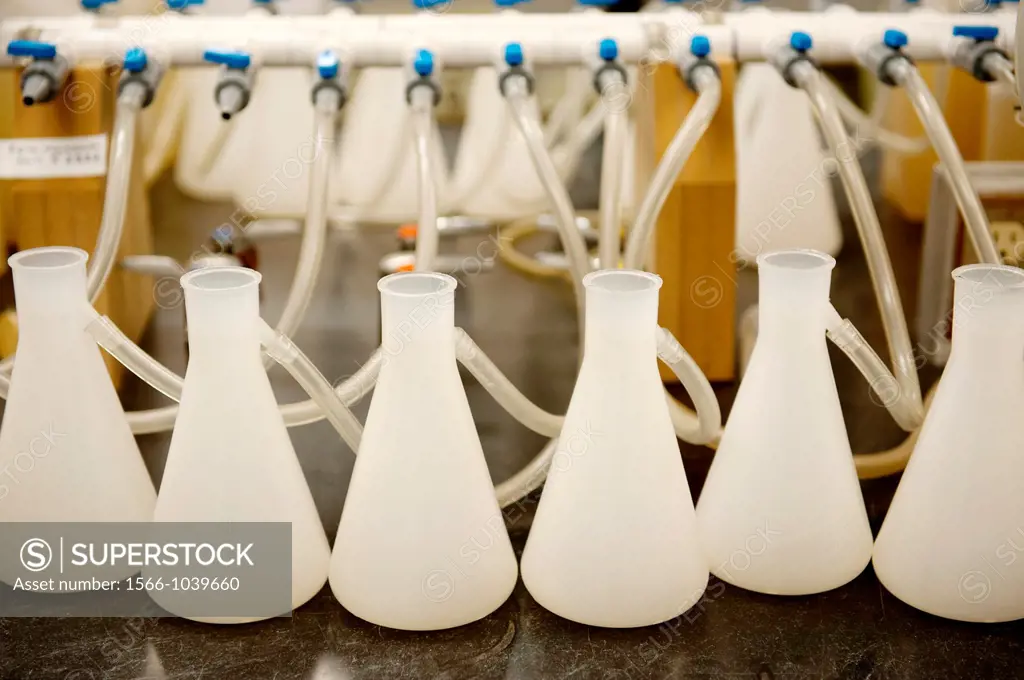 Beakers hooked up to tubes in a laboratory