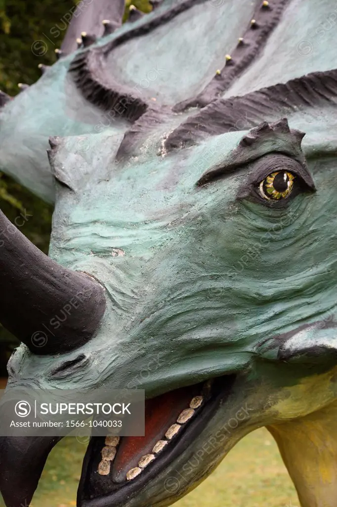 Close to the head of a Styracosaurus