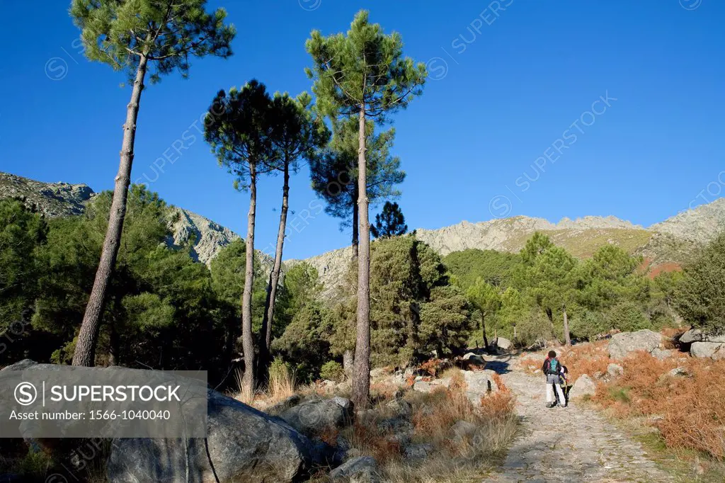 Mountaineers walking to Los Galayos, in Sierra de Gredos Regional Park, Ávila  Castilla y León  Spain