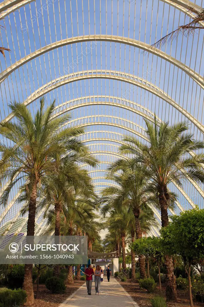 Spain, Valencia, City of Arts and Sciences, L´Umbracle,