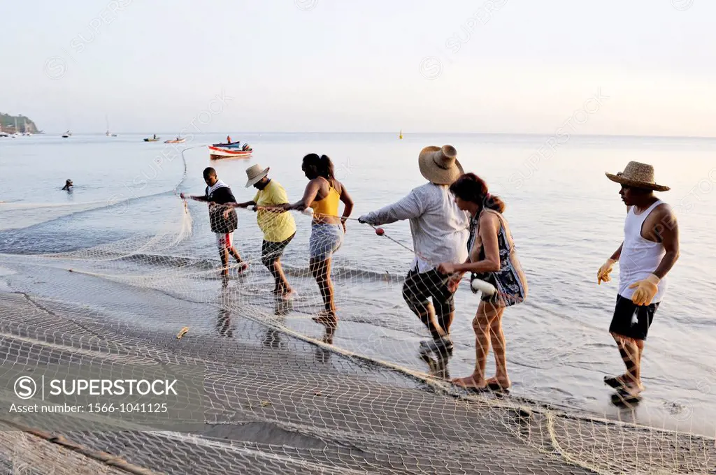 villagers hauling a seine fishing net on the beach of Saint-Pierre, Martinique, french island overseas region and department in the Lesser Antilles in...