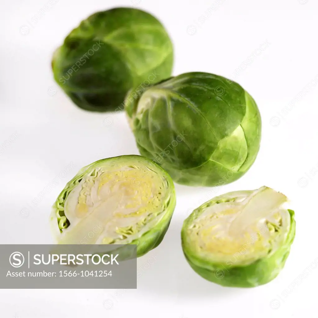 Brussels Sprouts, brassica oleracea, Vegetables against White Background