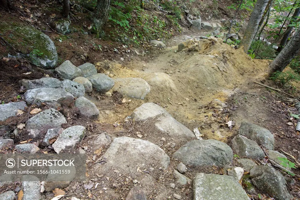 Presidential Range-Dry River Wilderness - Water dariange in the process of being built along Davis Path during the summer months in the White Mountain...