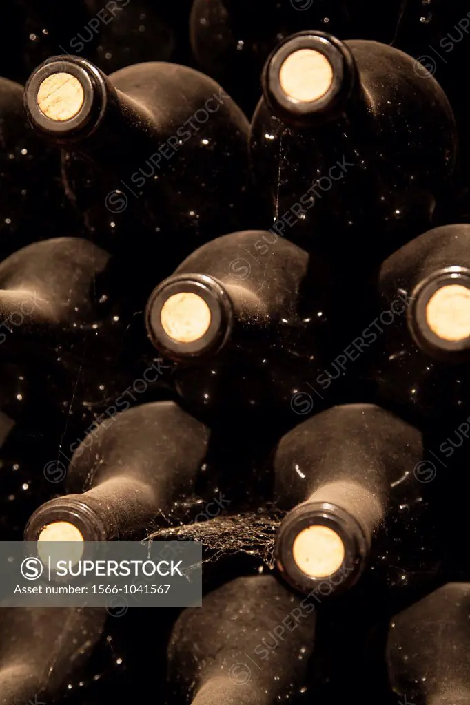 Wine cellar in La Rioja, Spain, Europe