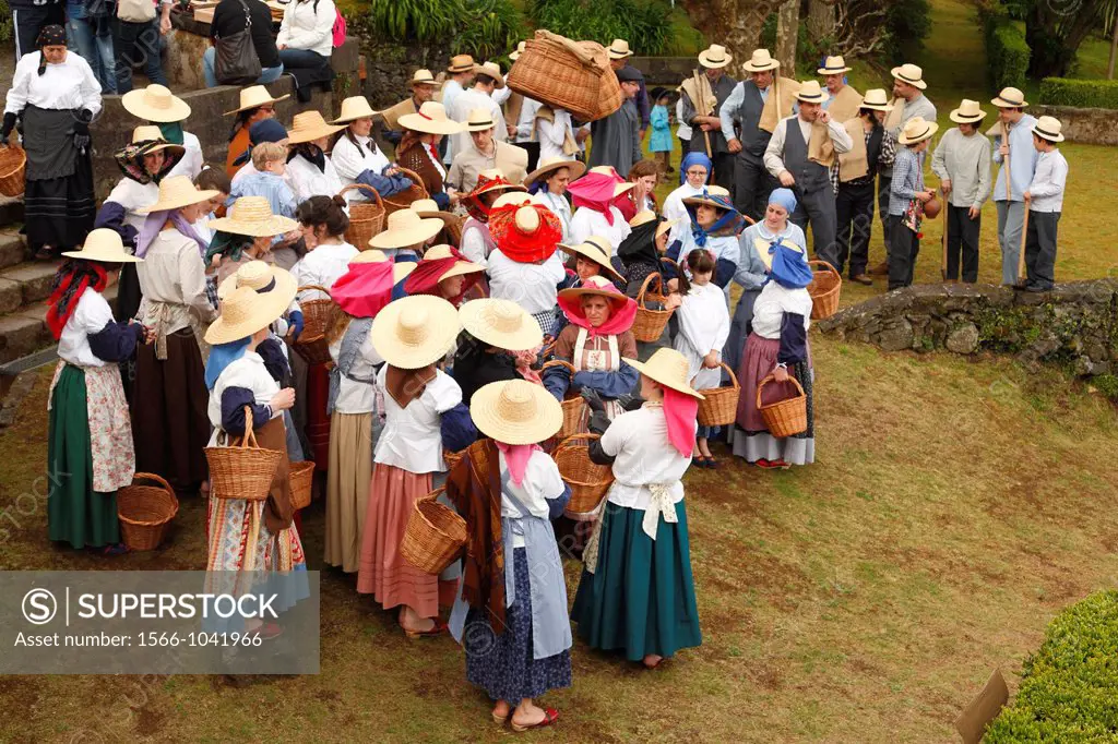 Workers wearing traditional garments in Porto Formoso tea gardens  Sao Miguel, Azores islands, Portugal