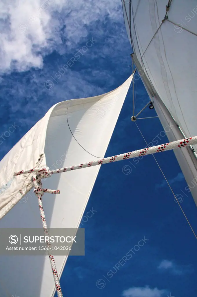 Jib & Main Sail with the mast on catamaran boat, under sail