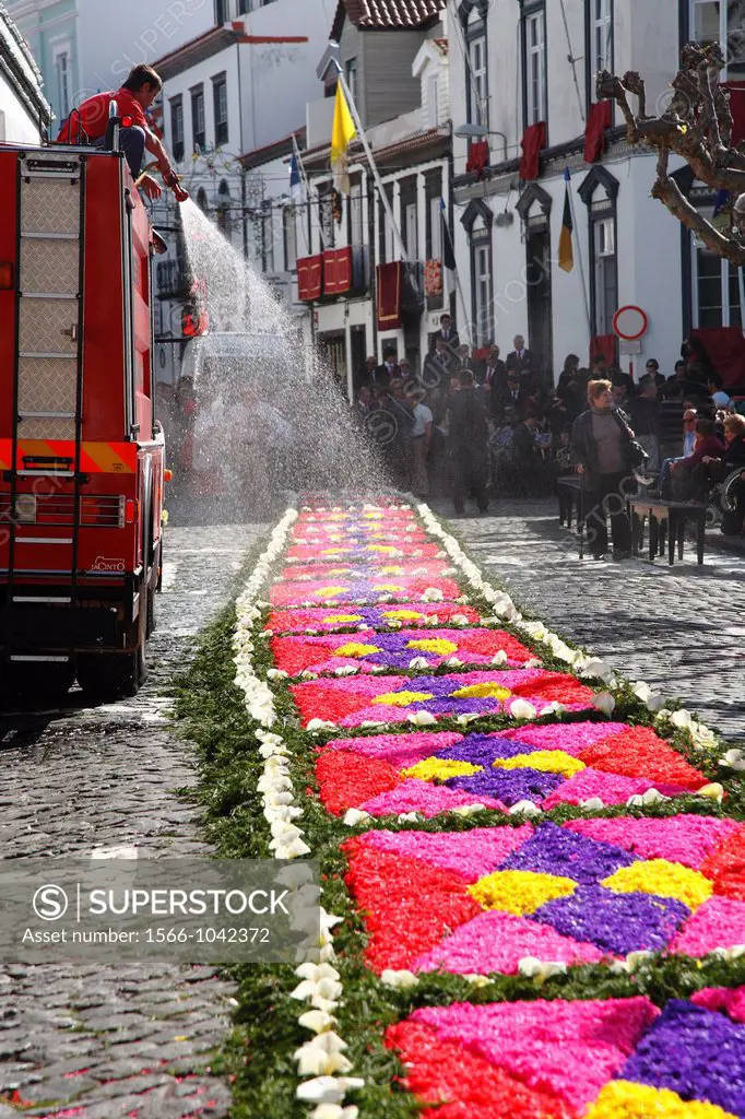 Fire truck spraying water on flower carpet during religious festival at Ponta Delgada, Azores islands