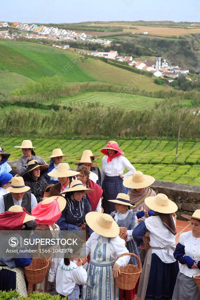 Women workers in Porto Formoso tea gardens with the parish on the background  Sao Miguel, Azores islands, Portugal