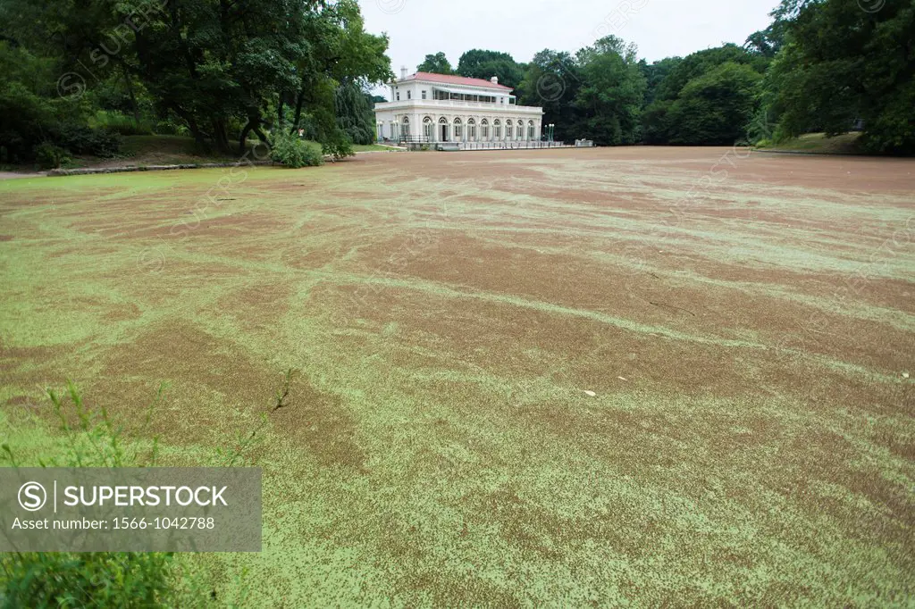 The Audubon Center in the lullwater section of the Prospect Park Lake in Brooklyn in New York The surface of the lake has been covered with the plant ...