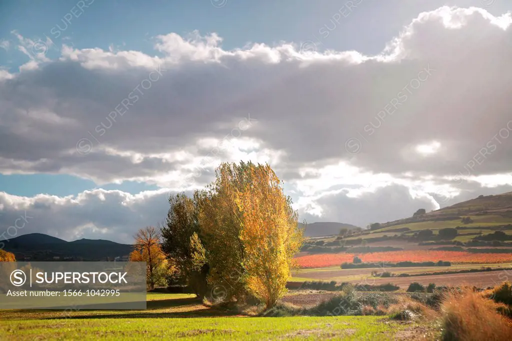 Ocon valley, Rioja wine region, Spain