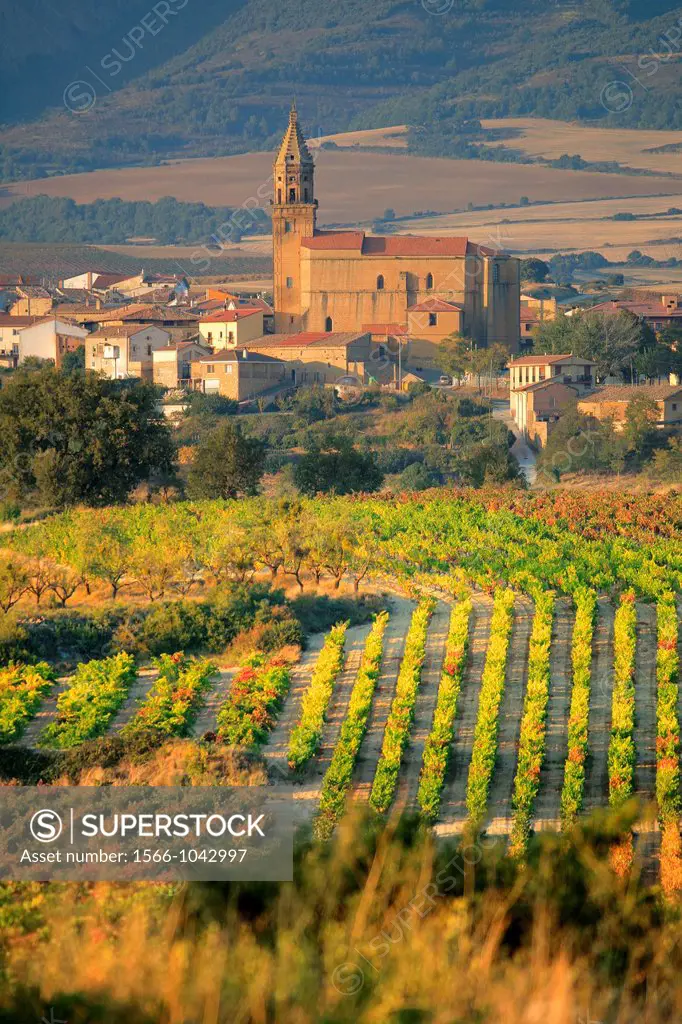 Leza village, Rioja Alavesa, Vasque Country, Spain