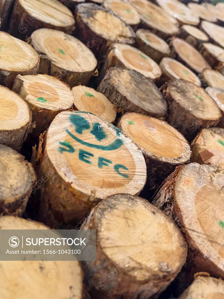 Logs harvested from sustainable forestry, in the Dolomites near the mountain range Rosengarten catinaccio  The PEFC Programme for the Endorsement of F...