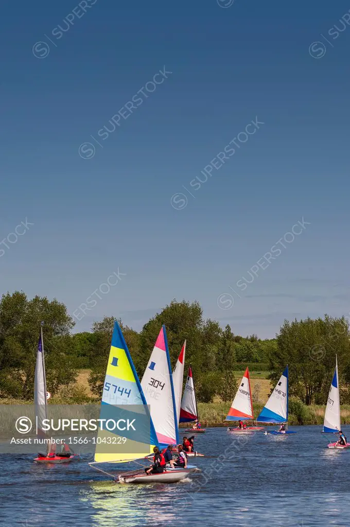 Sailing Topper dinghys showing movement at the Beccles Amateur Sailing Club in the Uk
