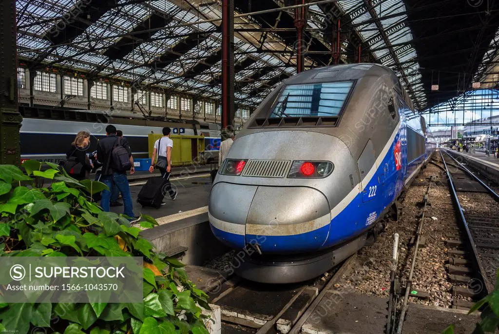 Paris, France, Toursts Traveling in Train Station, Gare de Lyon,