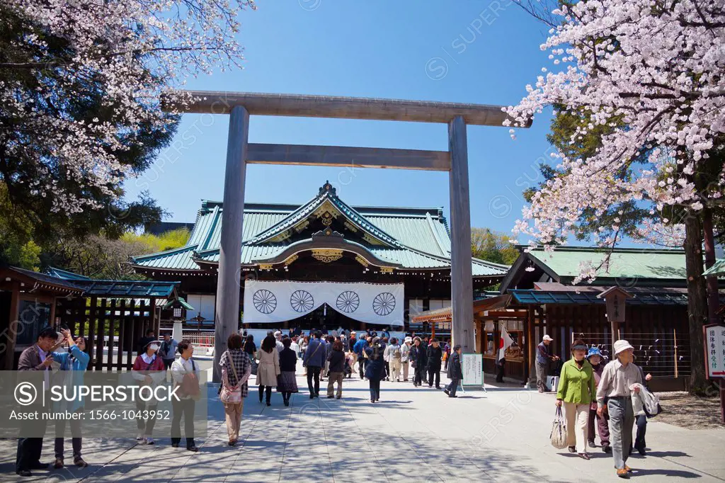 Japan, Tokyo City,Yasukuni Shrine , Cherry Blossoms