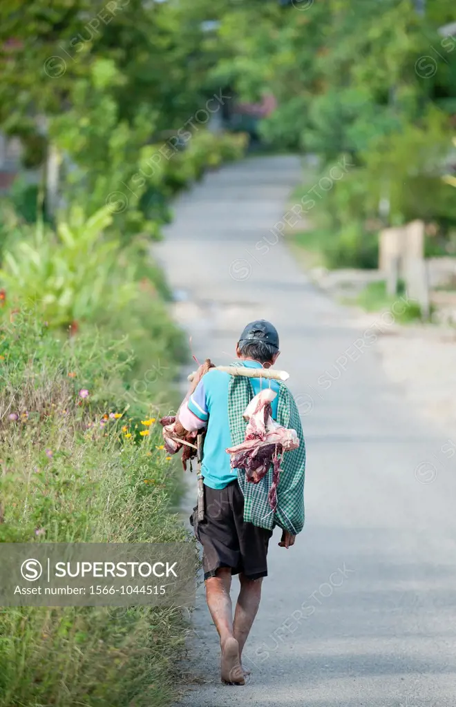 farmer coming back in Tana Toraja,Sulawesi,Indonesia