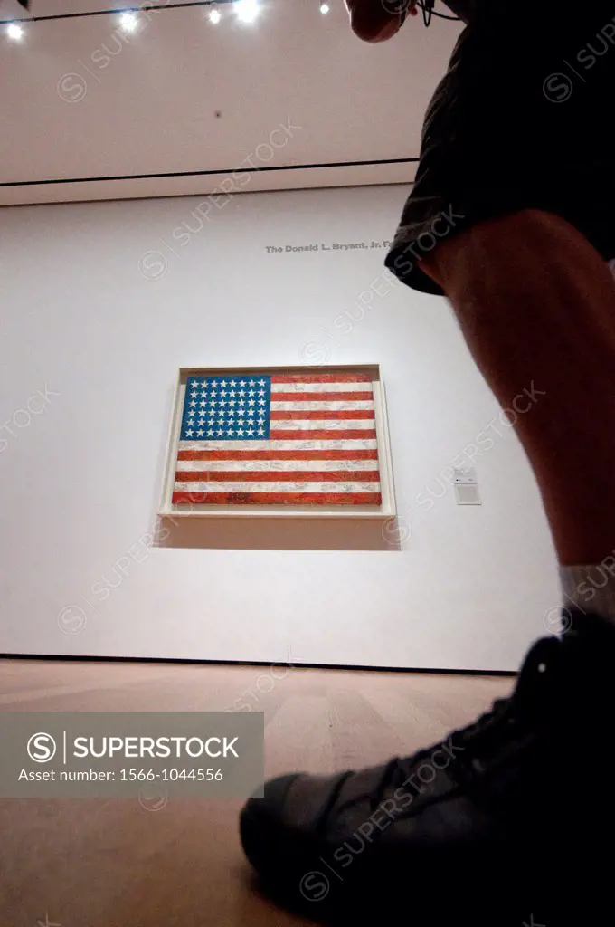 USA, New York, New York City, Manhattan, Museum of Modern Art, MOMA, Flag by Jasper Johns