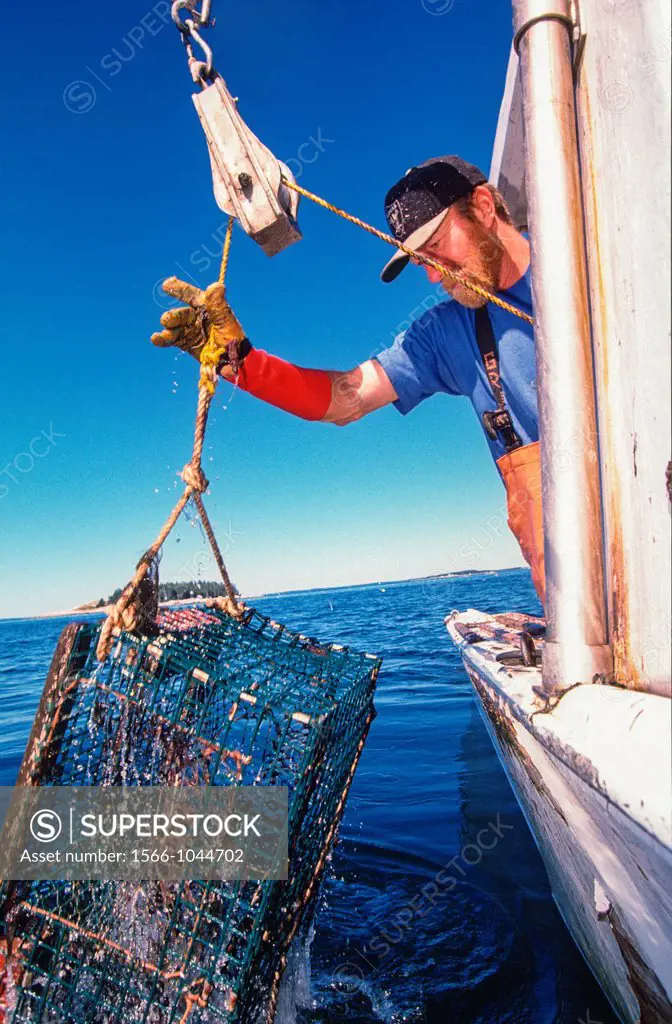 Lobster fisherman hauls out his traps along the mid-coast of Maine