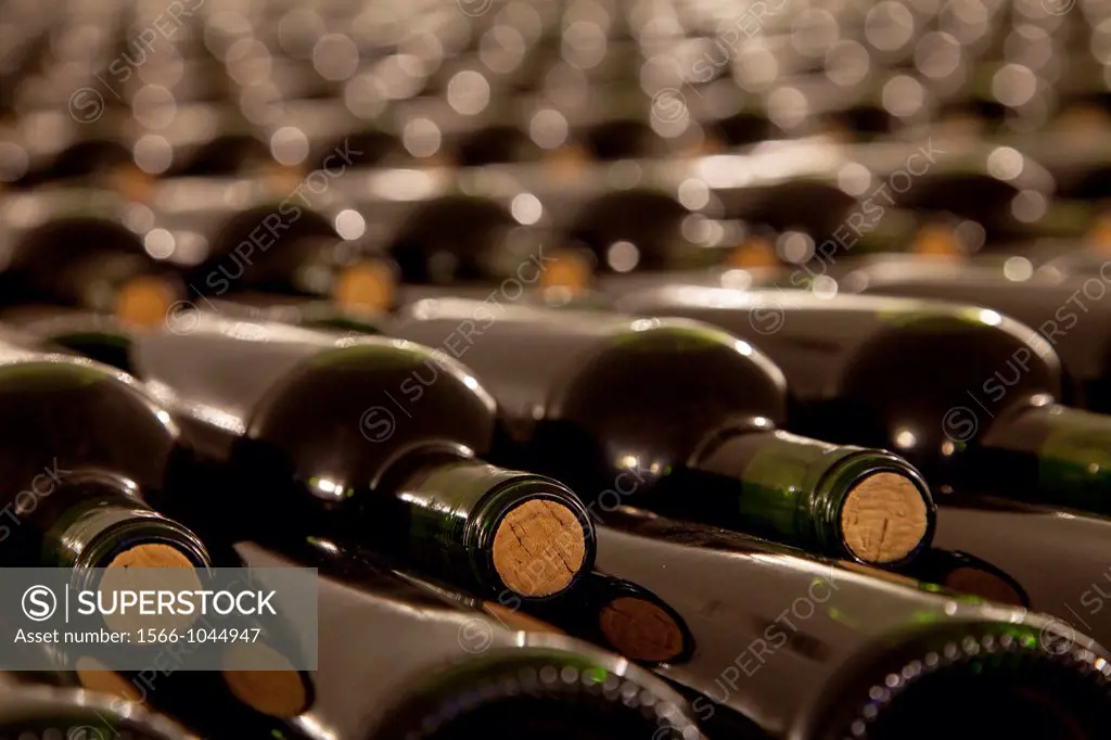 Bodegas Montecillo wine cellar in La Rioja, Spain, Europe