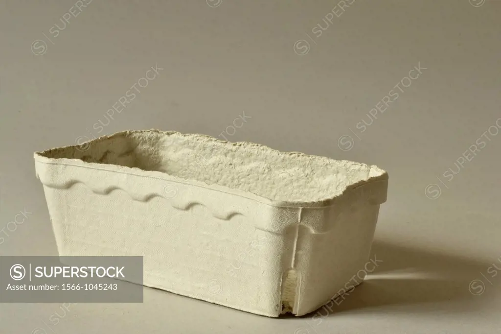 Biodegradable container for produce on grey background