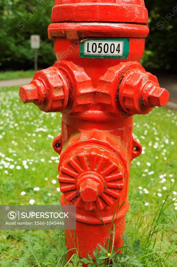 fire hydrant in Stanley Park, Vancouver, British Columbia, Canada
