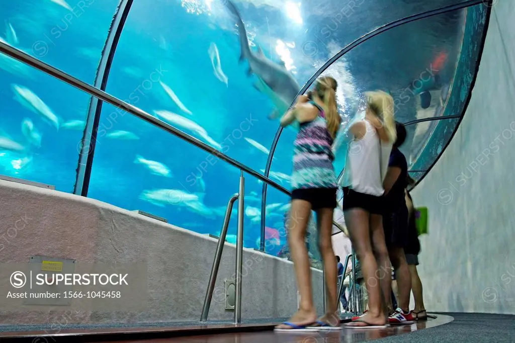 glass tunnel, Aquarium, Barcelona, Catalonia, Spain