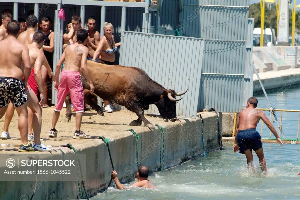 The bullfighters Bous a la Mar jump into the water, Denia, Alicante, Spain, Europe