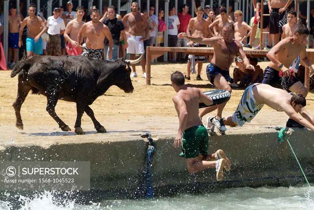 The bullfighters Bous a la Mar jump into the water, Denia, Alicante, Spain, Europe