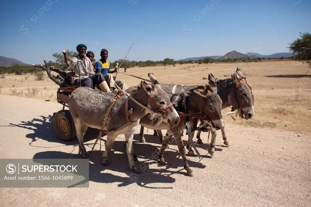 donkey cart in Namibia