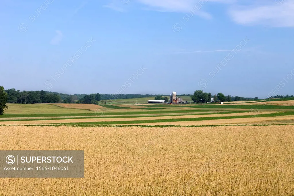 Wheat Fields Farms Brookville Pennsylvania USA