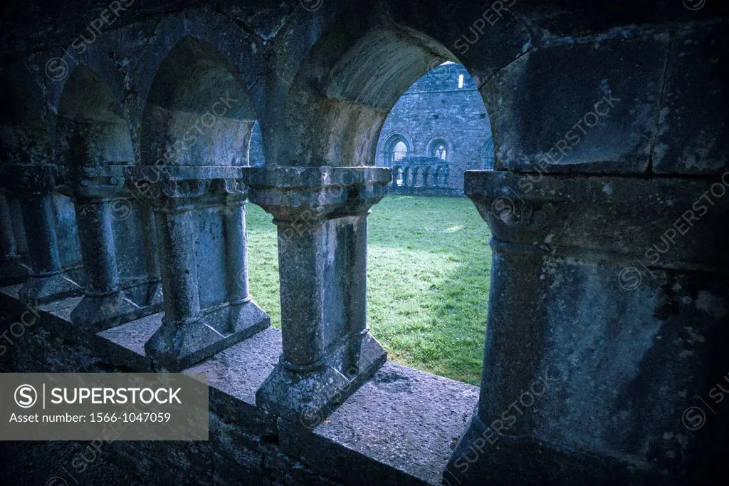 A mysterious view of Cong Abbey, Cong, County Mayo, Ireland, Europe