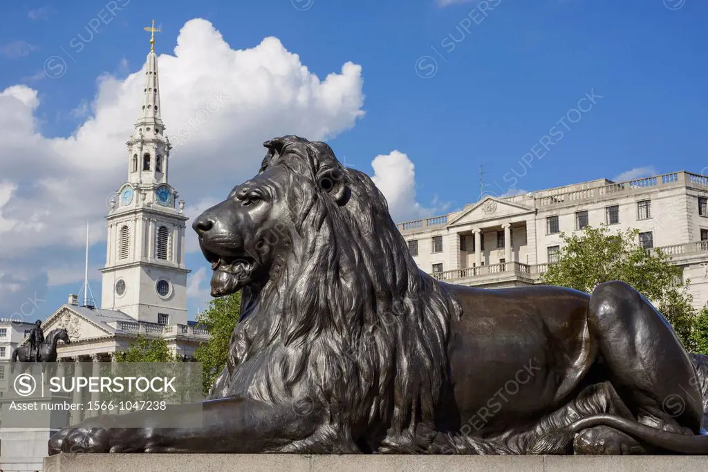 Trafalgar Square lion with St Martin-in-the-Field church in the background, London, England