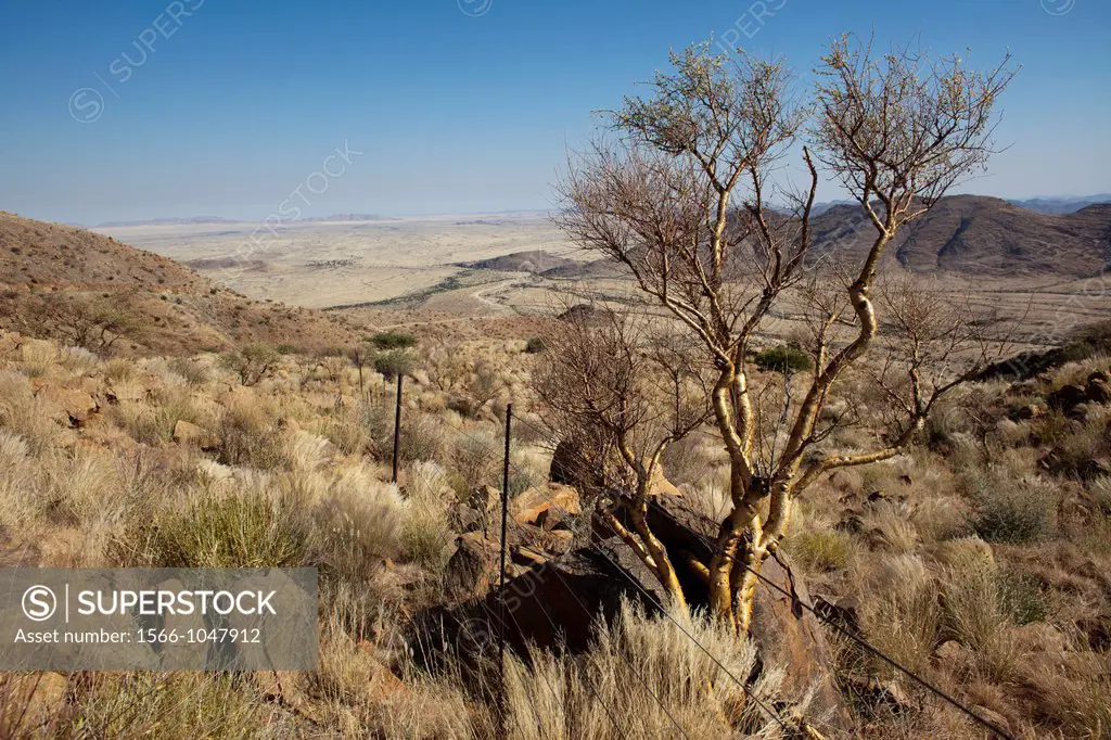 view, south of windhoek, Namibia
