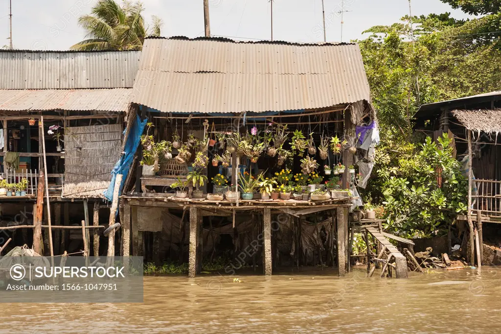 Riverside home supported by stilts, Cai Be, Mekong River Delta, Vietnam