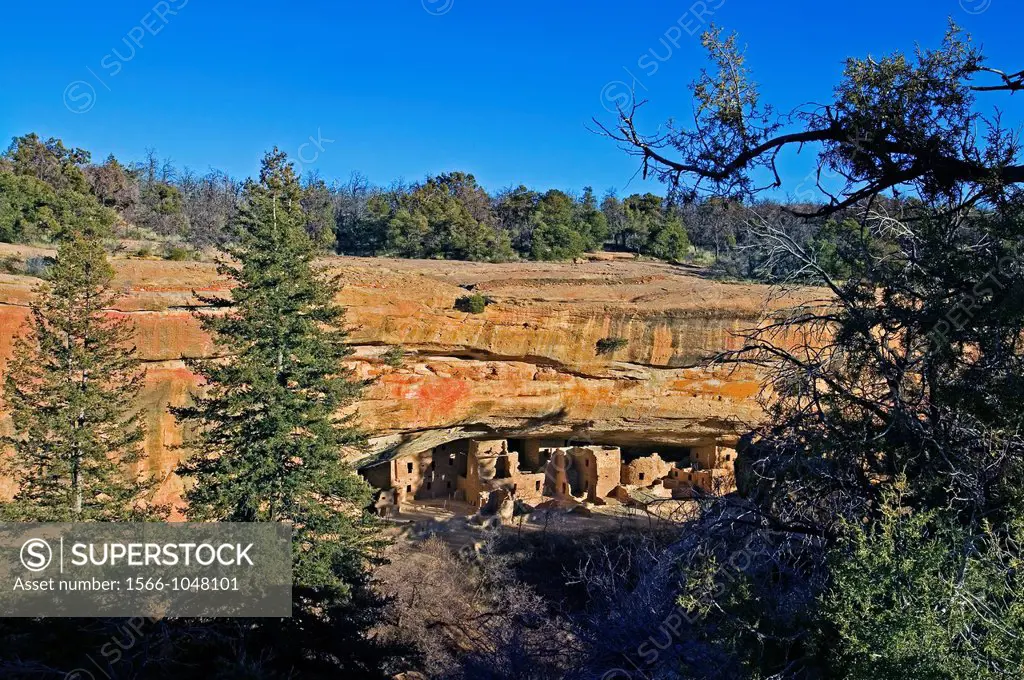 Spruce Tree House ruins at Mesa Verde National Park, Colorado, USA.