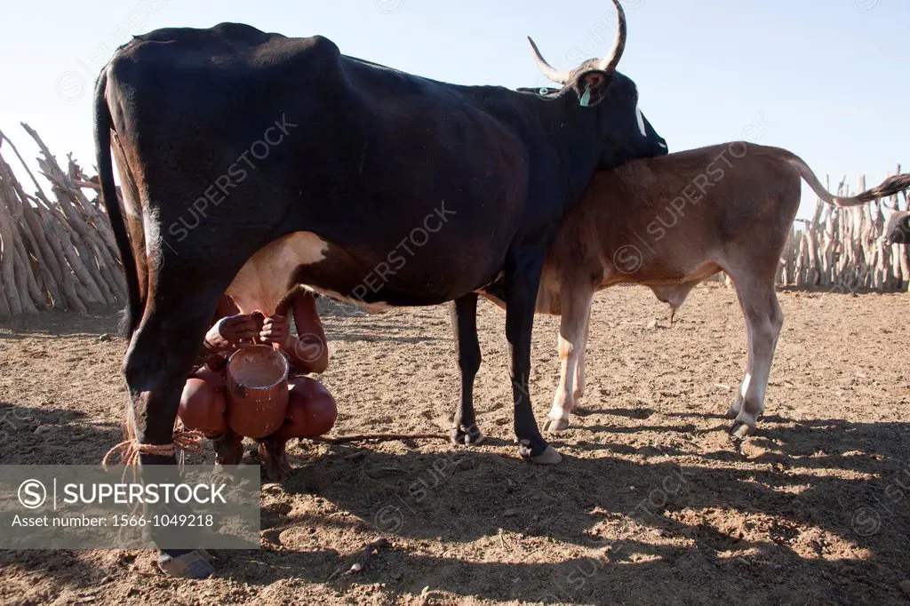 Himba tribe in Namibia