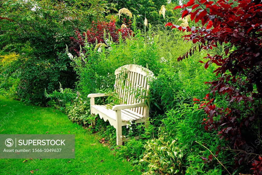 Beautiful vintage wooden bench in the old garden. Scotland, United Kingdom.