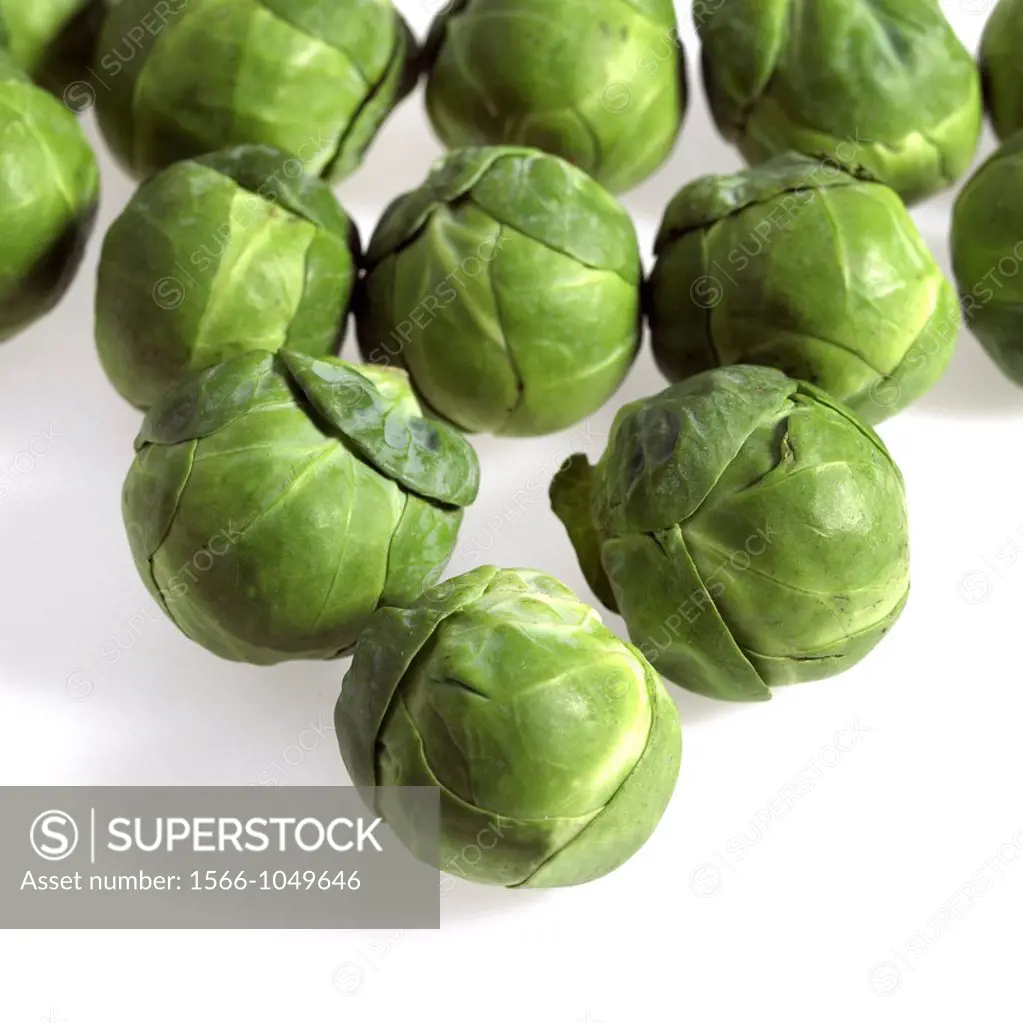 Brussels Sprouts, brassica oleracea, Vegetables against White Background