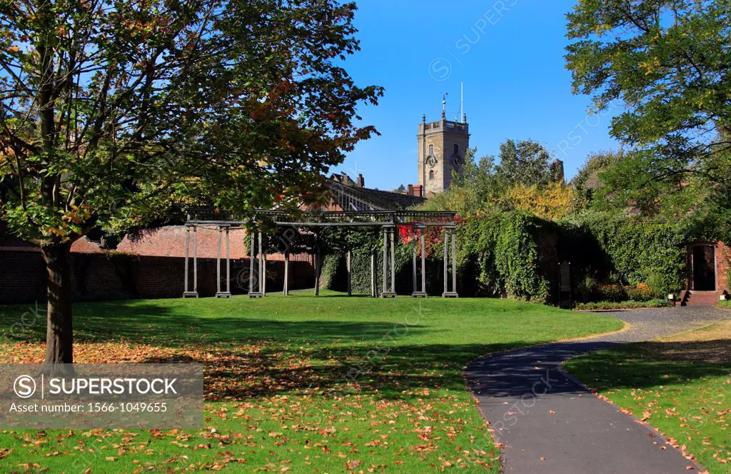 Autumn at Jubilee Gardens with St  Anne´s Church Tower in the background, Bewdley, Worcestershire, England, Europe