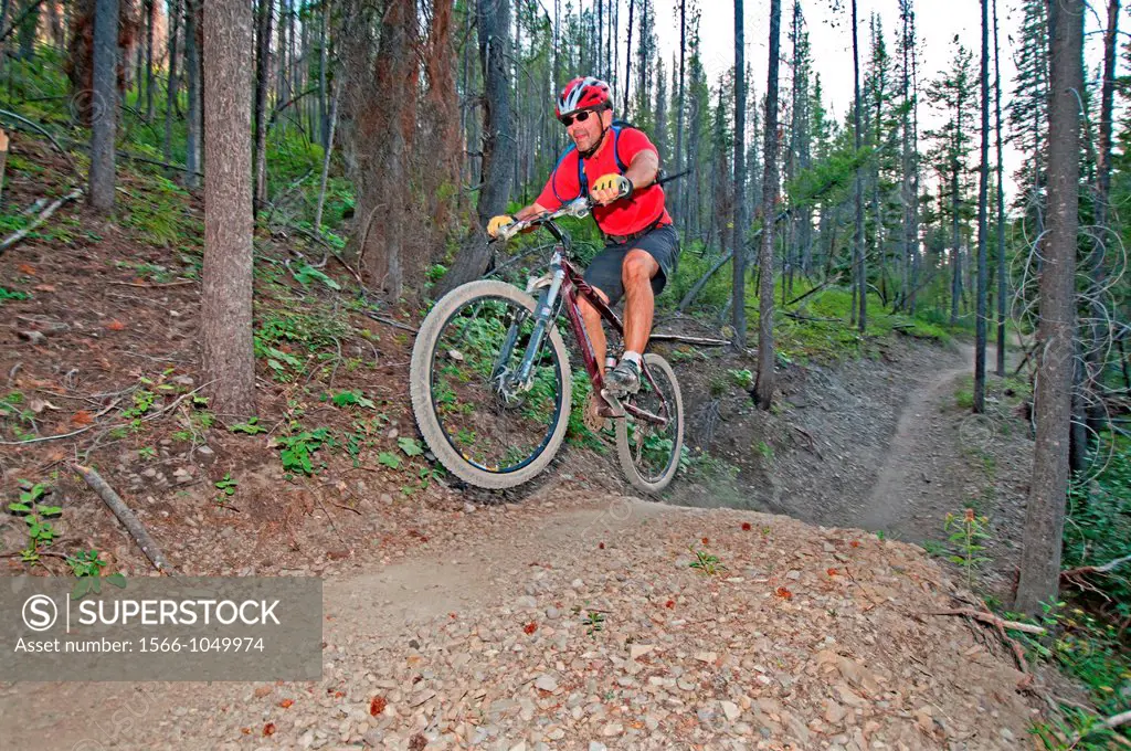Mountain biking the Forbidden Fruit Trail at Adams Gulch in the Smoky Mountains near the cities of Ketchum and Sun Valley in central Idaho