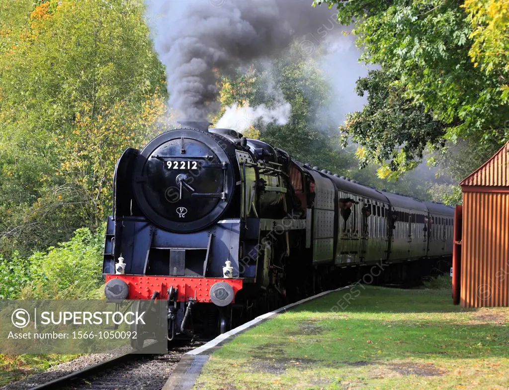 British Railways 9F, 2-10-0, No 92212 steams through Northwood Halt, near Bewdley, Worcestershire, England, Europe