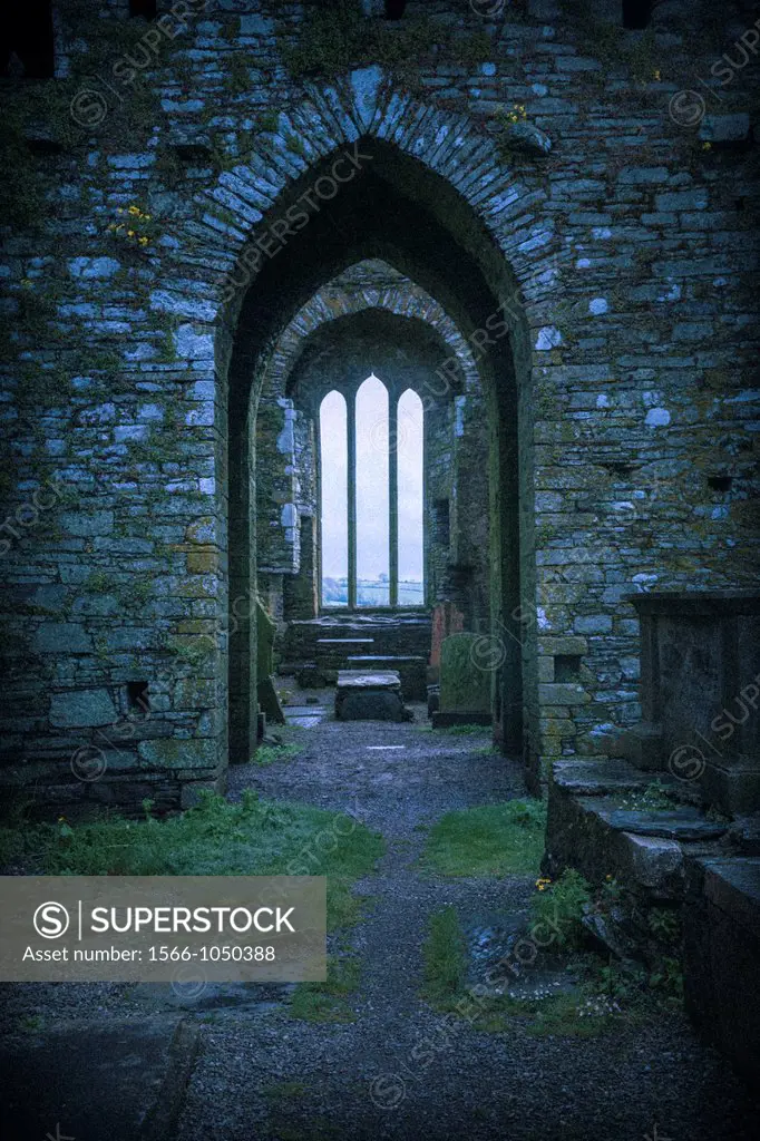 A mysterious view Timoleague Abbey, County Cork, Ireland, Europe
