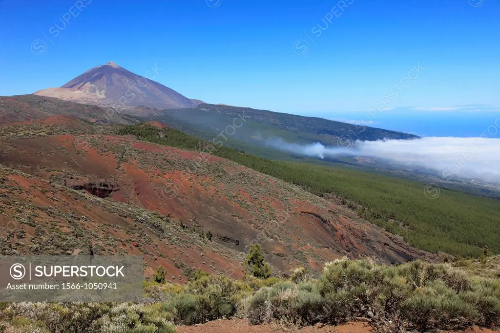 Spain, Canary Islands, Tenerife, Pico del Teide, volcano,