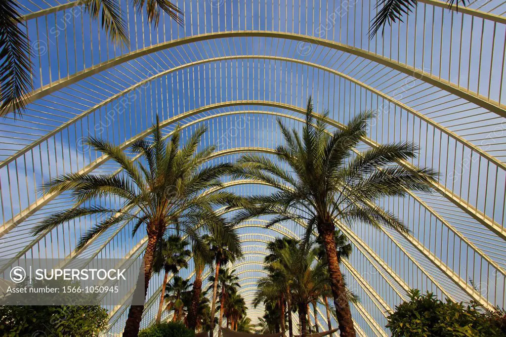 Spain, Valencia, City of Arts and Sciences, L´Umbracle,