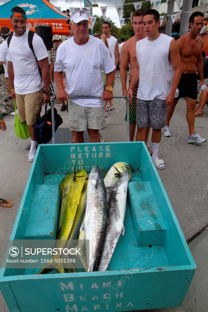 Florida, Miami Beach, Miami Beach Marina, deep sea fishing tournament