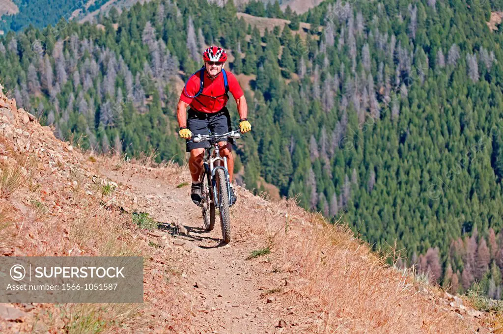 Mountain biking the Cold Springs Trail on Bald Mountain at Sun Valley Resort near the cities of Ketchum and Sun Valley in central Idaho