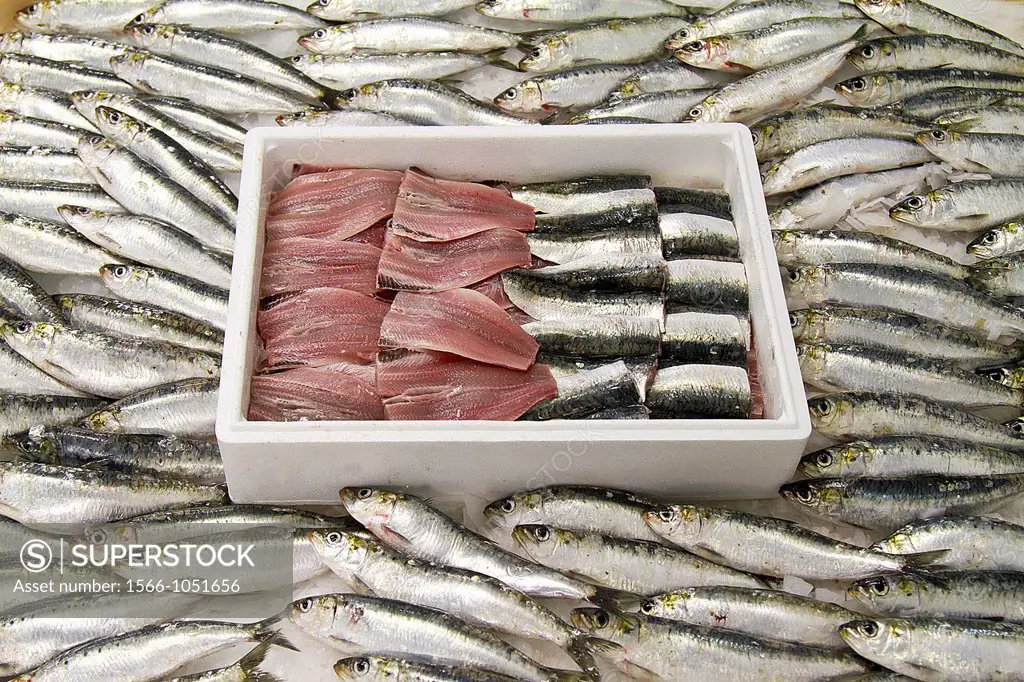 Fresh Sardines and fillets with Ice,