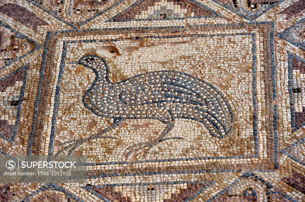 mosaic in the Complex of Eustolios at Kourion, Cyprus, Eastern Mediterranean Sea