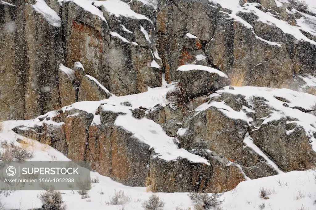 Falling snow and rock outcrops in the Lamar Valley, Yellowstone NP, Wyoming, USA