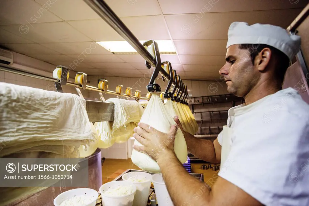 Hand-made cheese Binigarba - denomination of origin Mahon craftsman-farm Binigarba, Ciutadella, Menorca, Balearic Islands, Spain, Europe